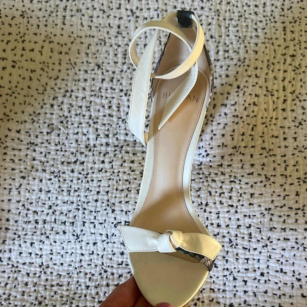 Alexander Birman Multi Color Python Skin - Picture 4 of 7
